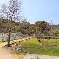 Другое в Греции, 350 кв.м.