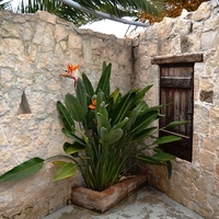 Business center in Greece, 180 sq.m.