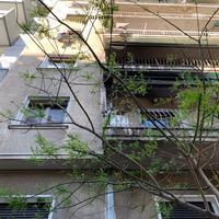 Квартира в Греции, 53 кв.м.