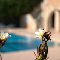 Villa in Greece, 200 sq.m.