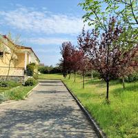 Другое в Греции, 200 кв.м.