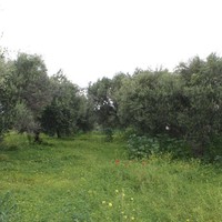 Земельный участок в Греции