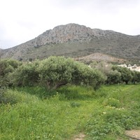 Земельный участок в Греции