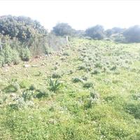 Land plot in Greece