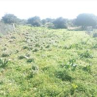 Land plot in Greece