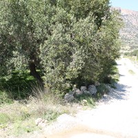 Other in Greece, 200 sq.m.