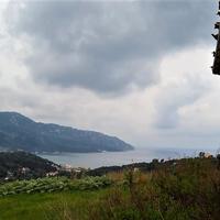 Земельный участок в Греции, 75 кв.м.