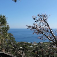 Другое в Греции, 160 кв.м.