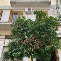 Бизнес-центр в Греции, 178 кв.м.