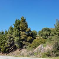 Villa in Greece, 300 sq.m.