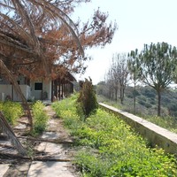 Другое в Греции, 65 кв.м.