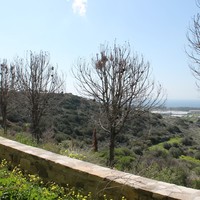 Другое в Греции, 65 кв.м.