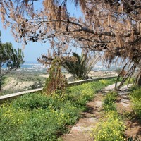 Другое в Греции, 65 кв.м.