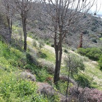 Другое в Греции, 65 кв.м.