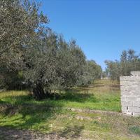 Земельный участок в Греции