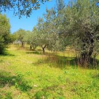 Земельный участок в Греции