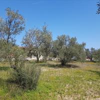 Земельный участок в Греции