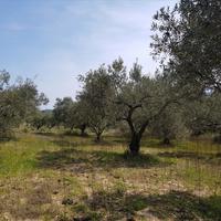 Земельный участок в Греции