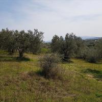 Земельный участок в Греции