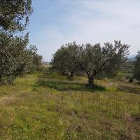 Земельный участок в Греции