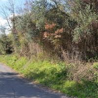 Other in Greece, 450 sq.m.