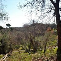 Other in Greece, 450 sq.m.