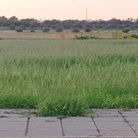 Земельный участок на Кипре