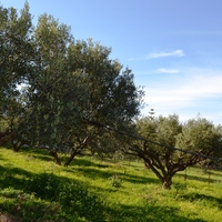 Земельный участок в Греции