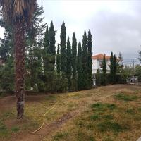 Другое в Греции, 370 кв.м.