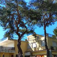 Бизнес-центр в Греции, 700 кв.м.