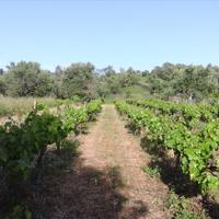 Villa in Greece, 312 sq.m.