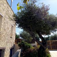 Villa in Greece, 312 sq.m.