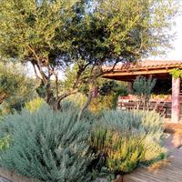 Villa in Greece, 312 sq.m.