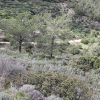 Земельный участок в Греции