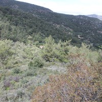 Земельный участок в Греции