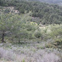 Земельный участок в Греции