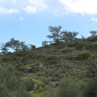 Земельный участок в Греции