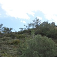 Земельный участок в Греции