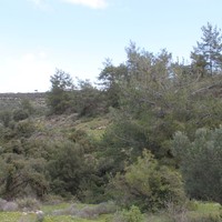 Земельный участок в Греции