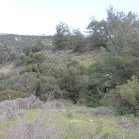 Земельный участок в Греции