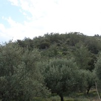 Земельный участок в Греции