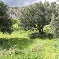 Земельный участок в Греции