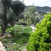 Другое в Греции, 215 кв.м.