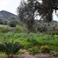 Другое в Греции, 215 кв.м.