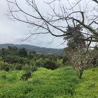 Земельный участок в Греции