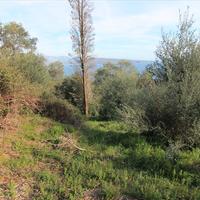 Земельный участок в Греции