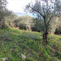 Земельный участок в Греции