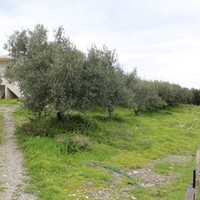 Business center in Greece, 105 sq.m.