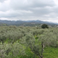 Business center in Greece, 105 sq.m.