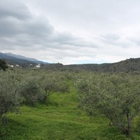 Business center in Greece, 105 sq.m.